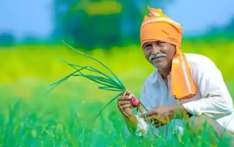 PM Kisan Yojana के तहत आपके खाते मे नहीं आया है 17वीं किस्त का पैसा, तो तुरंत करे ये काम